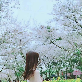 验证个刚下水的妹子