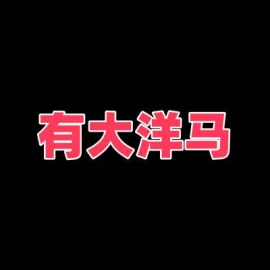 成都扫街 有洋马
